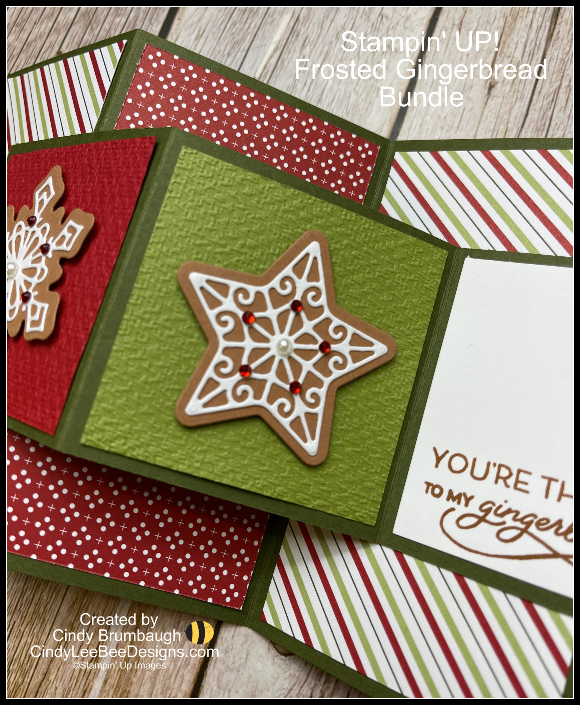 su-frosted-gingerbread-cinnamon-cookie-close-up | Cindy Lee Bee Designs