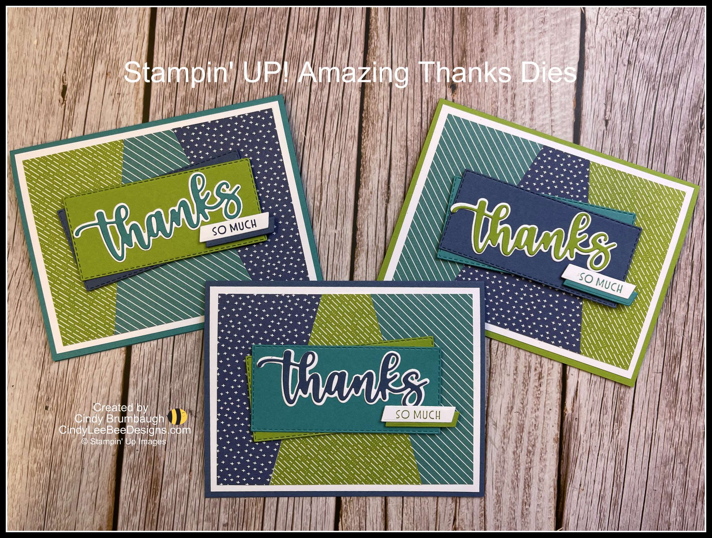 Stampin’ UP! Amazing Thanks Dies Fun Cut Trio of Cards Cindy Lee Bee